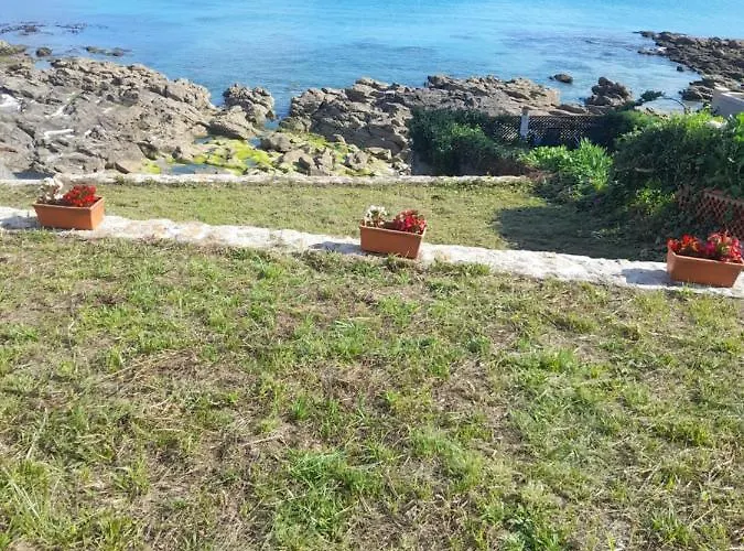 Casina Palmira * 菲尼斯特雷