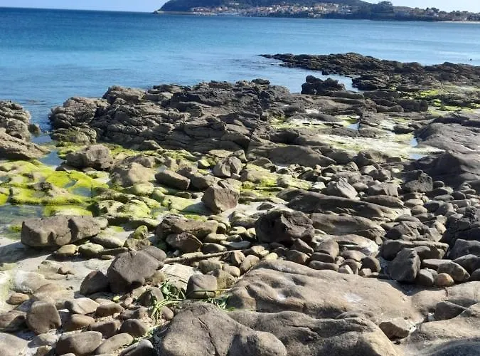 度假居 Casina Palmira *