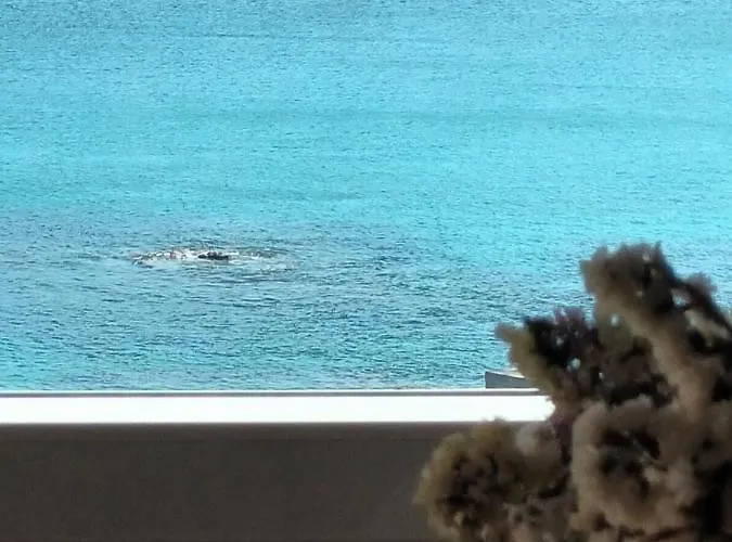 度假居 Casina Palmira 菲尼斯特雷