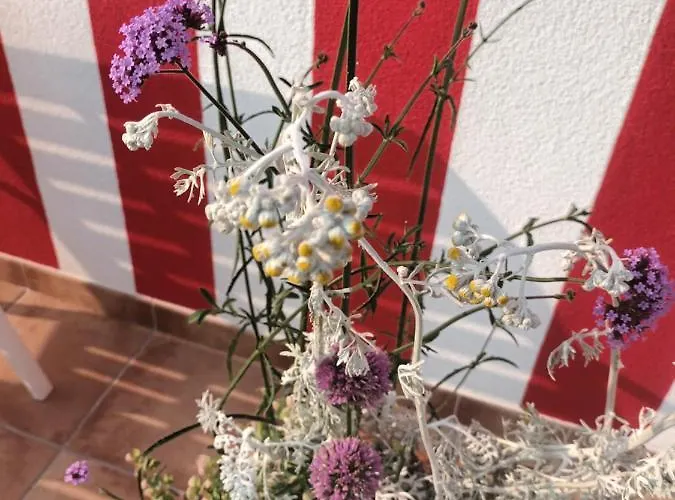 Casina Palmira Hébergement de vacances Finisterre