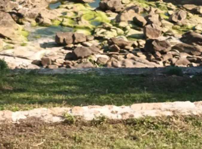 Casina Palmira Hébergement de vacances
