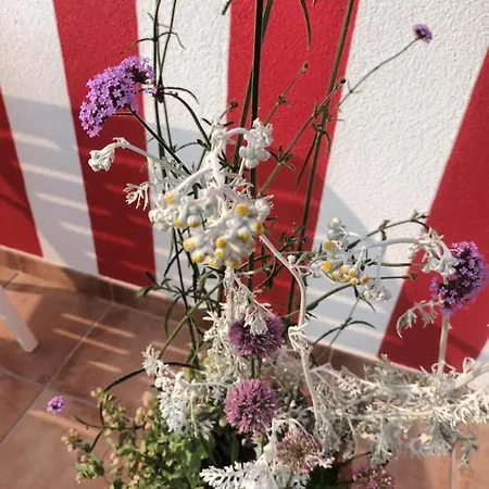 Casina Palmira 別荘 フィニステレ